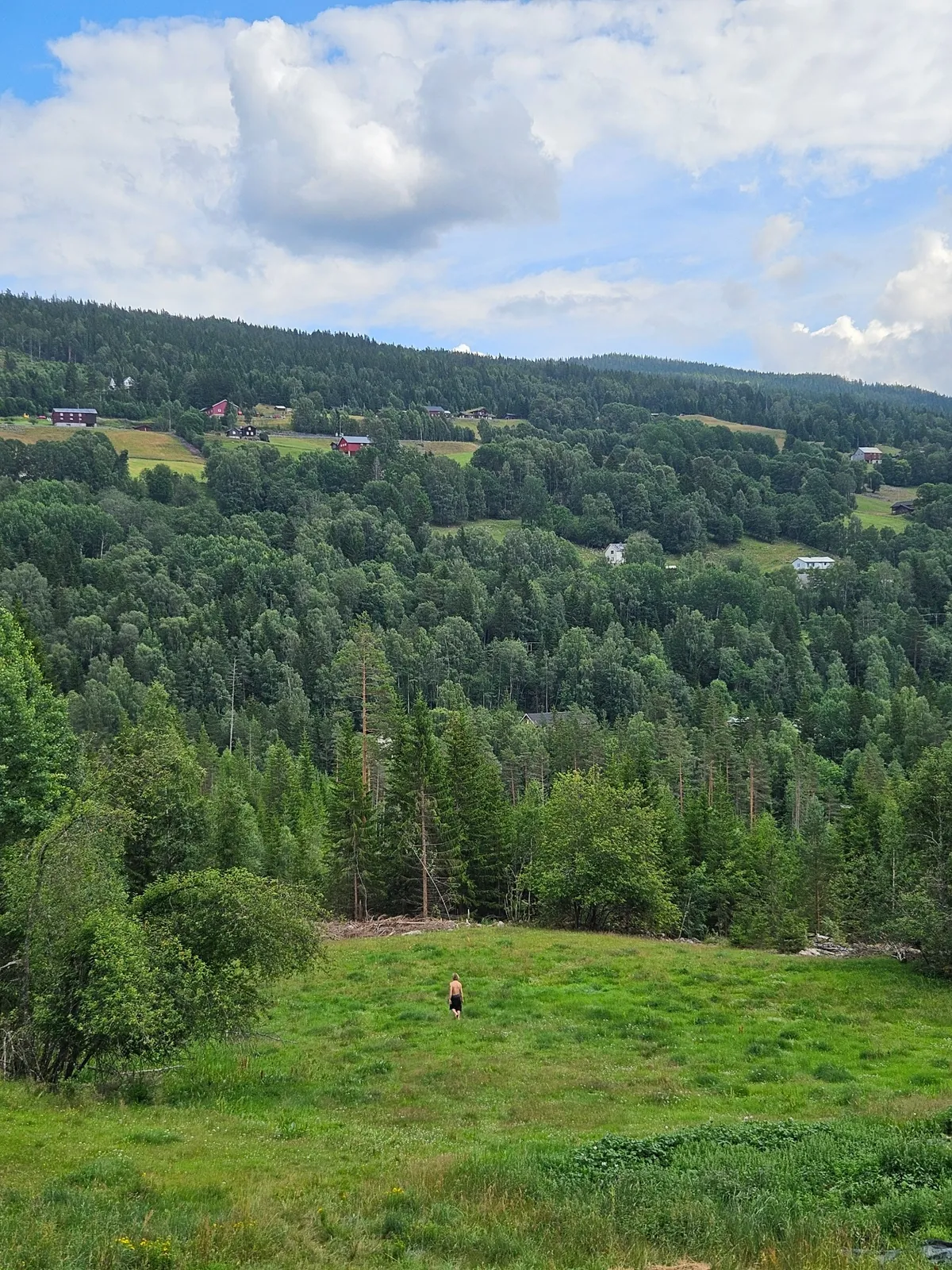 Panoramautsikt over grønn eng med skog og røde gårdsbygg i Telemark-landskapet