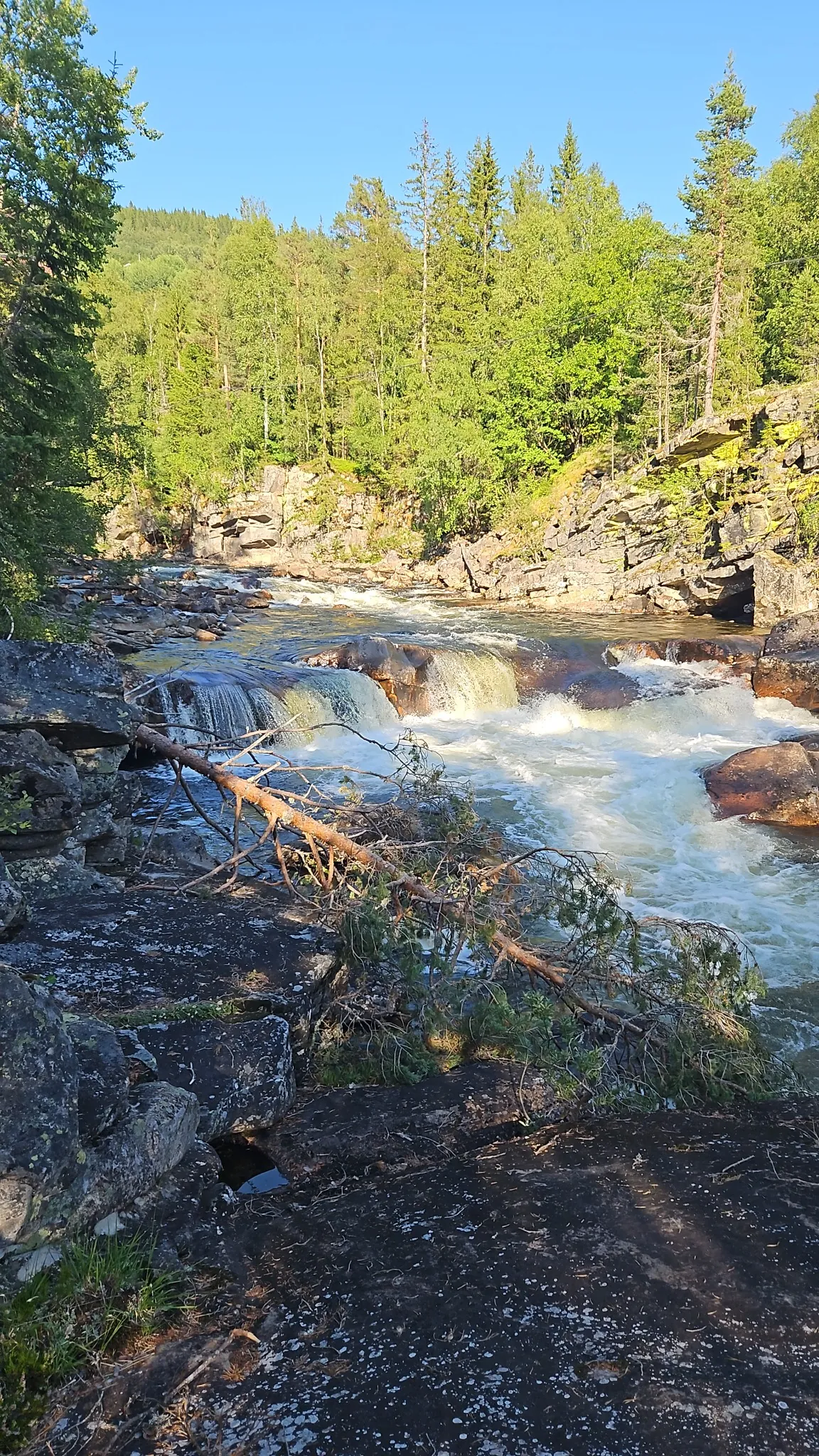 Forfriskende elv med stryk og fosser omgitt av grønn skog og steiner