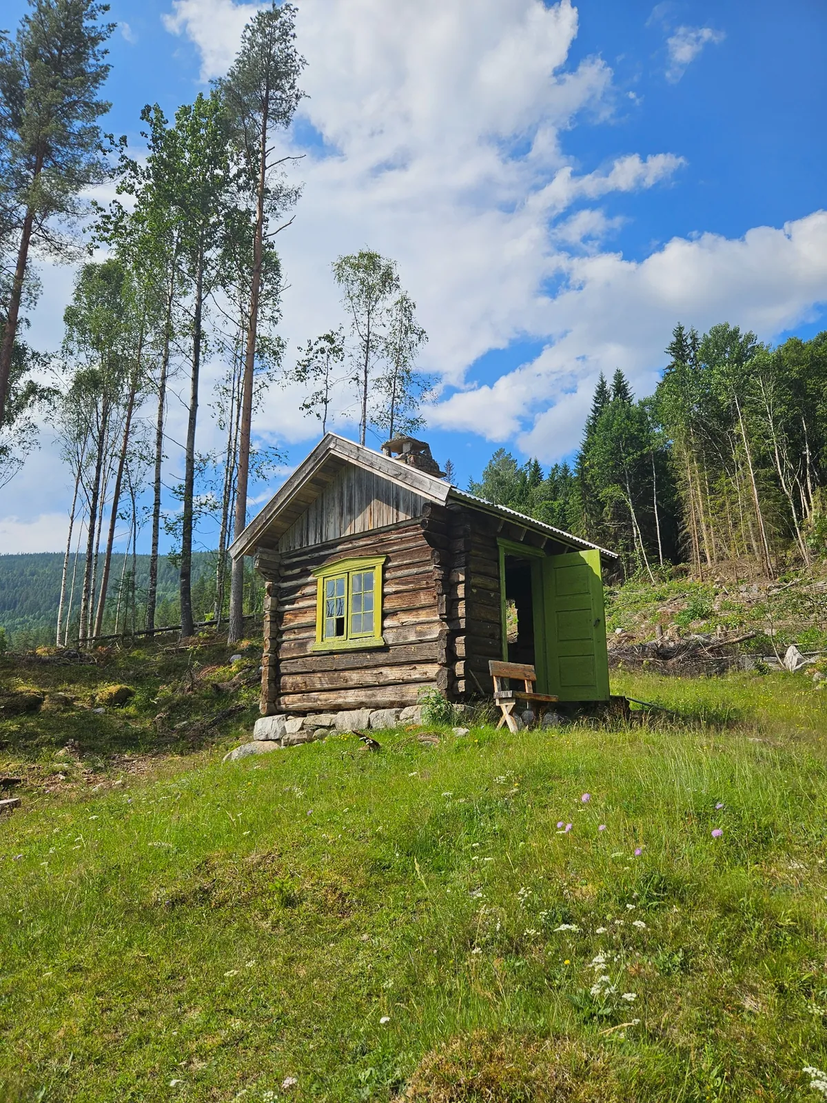 Gammel tømmerbadstue med grønne vinduer og dør på sommereng med furutrær